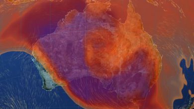 australia caldo incendi