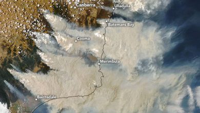 australia incendi anidride carbonica emissioni