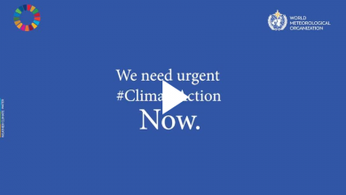 Clima 2019 wmo video