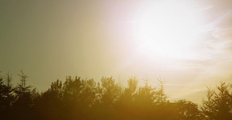 meteo domani freddo foschia nebbia