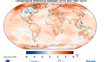 clima 2019 temperature