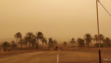 canarie vento sabbia