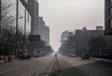 coronavirus cambiamenti ambientali pandemie