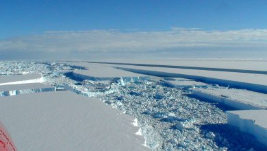 Antartide mare ghiacci