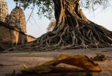 Thailandia siccità