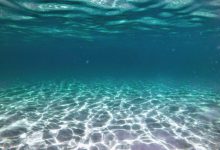 mediterraneo