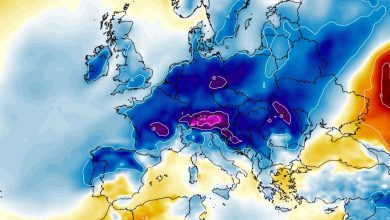 freddo neve