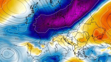 freddo neve