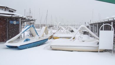 neve rimini