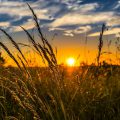 clima agricoltura
