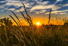 clima agricoltura