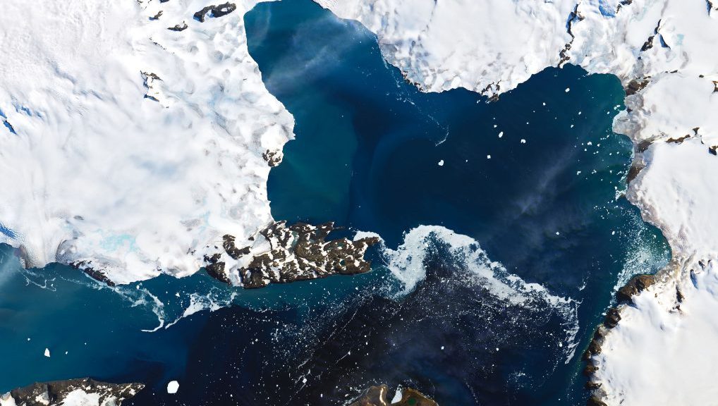 ANTARTIDE INFO E CURIOSIT SUL CONTINENTE PI FREDDO DEL PIANETA intelligence overview