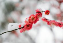 meteo freddo primavera