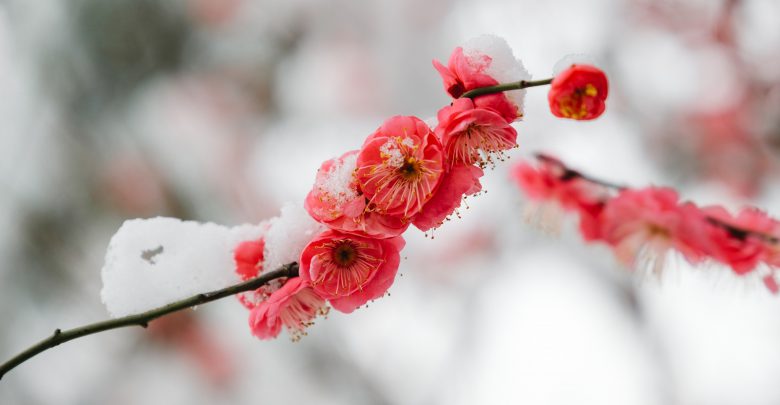 meteo freddo primavera