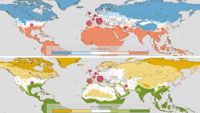 coronavirus temperatura e umidità