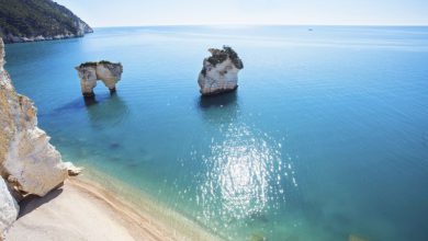 Le biodiversità del Mediterraneo studiate a impatto zero