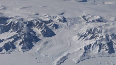 groenlandia antartide ghiaccio oceani