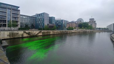 fiume sprea verde
