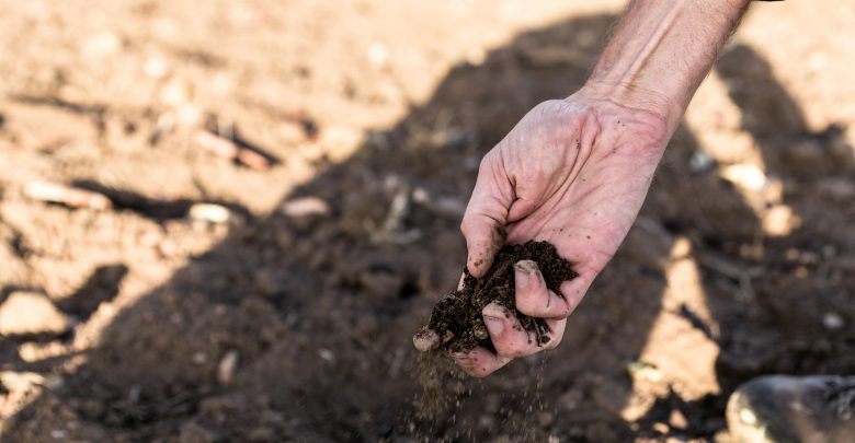 desertificazione e siccità