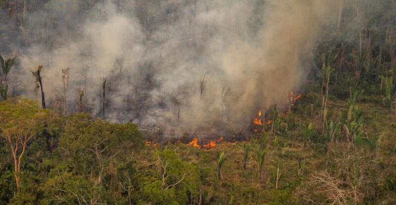 amazzonia incendi foresta deforestazione amazzonica