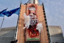 Incendi amazzonia UE greenpeace