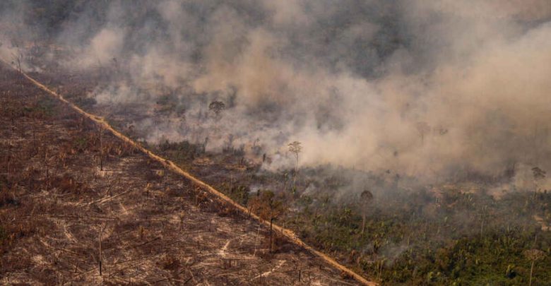 amazzonia incendi foresta deforestazione amazzonica