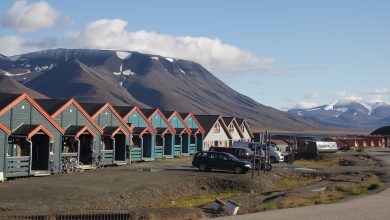 estate svalbard