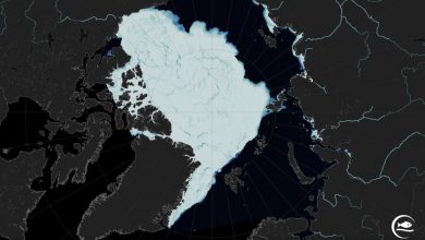ghiacci marini artico ottobre 2020