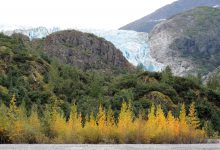 trump ambiente alaska