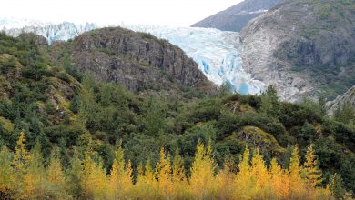 trump ambiente alaska