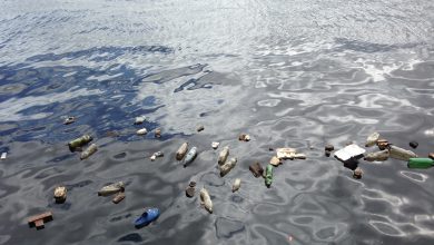 plastica microplastiche oceano mare inquinamento