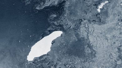 iceberg più grande del mondo georgia del sud