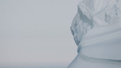 Il più grande iceberg del mondo si dirige contro la South Georgia