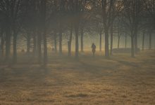 milano inquinamento nebbia