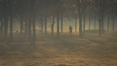 milano inquinamento nebbia