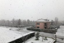 neve