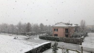 neve