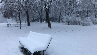 neve maltempo 2021 meteo