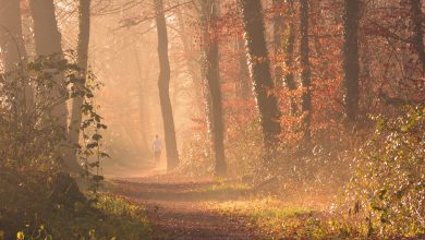 clima autunno novembre