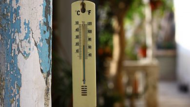 temperature