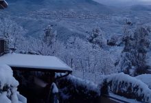 freddo neve