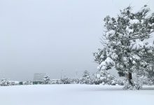 Giappone neve