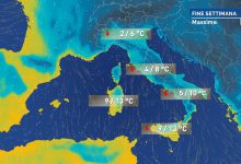 freddo weekend