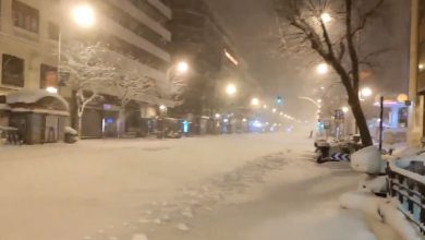 neve madrid