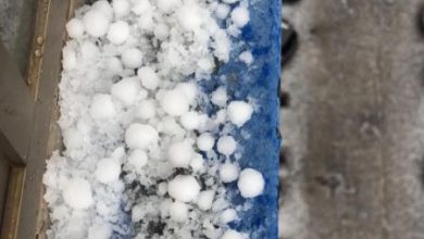perugia neve tonda