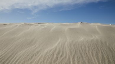sabbia del sahara
