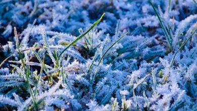 meteo freddo gelo ghiaccio