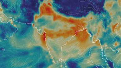India smog inquinamento