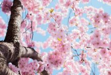 meteo primavera