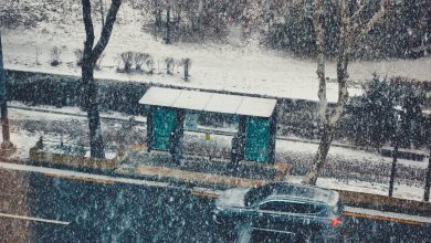 neve meteo